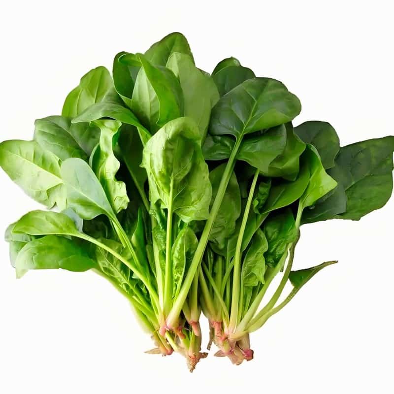 莲子绿豆粥的做法夏季的消暑粥