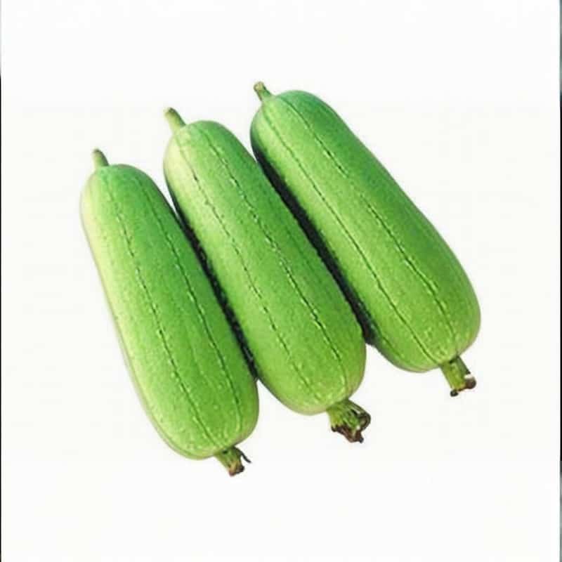 东莞蔬菜批发行业现状与发展对策