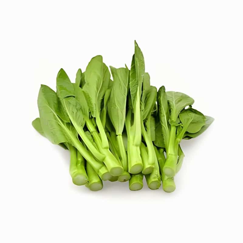 解决肠道问题，“菌”衡是关键盛夏