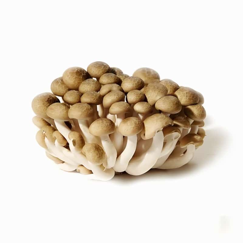 春天什么时间开窗最合适早春