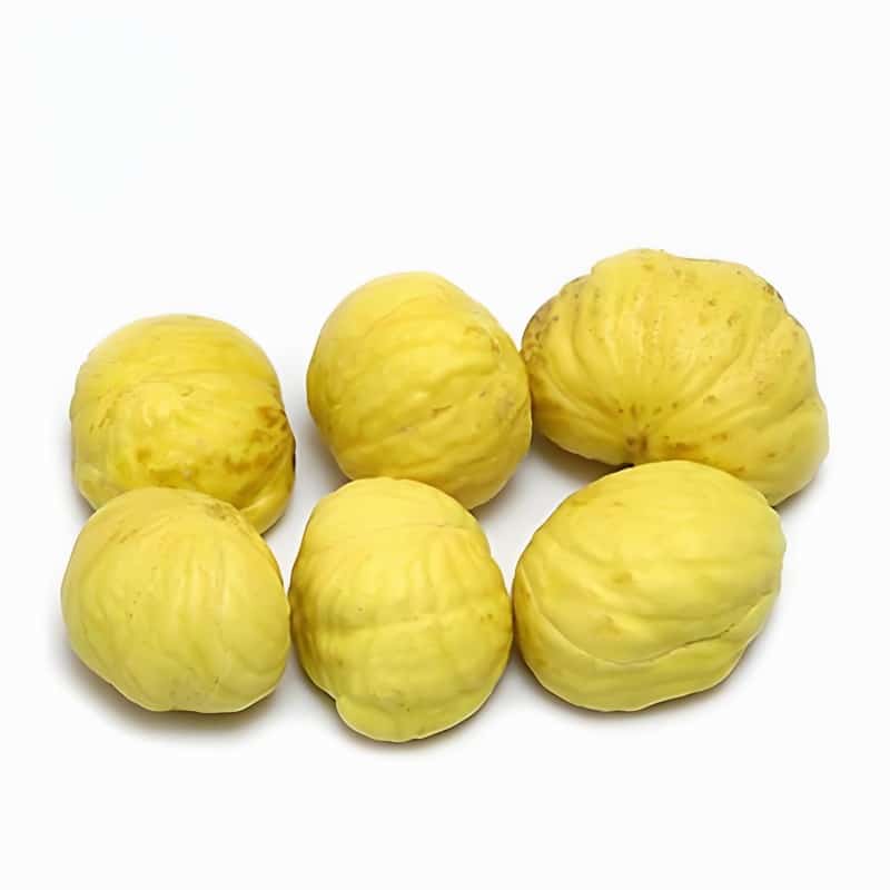 春天哪些人群应注意感冒早春